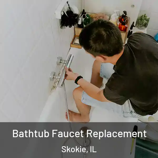  Bathtub Faucet Replacement Skokie, IL