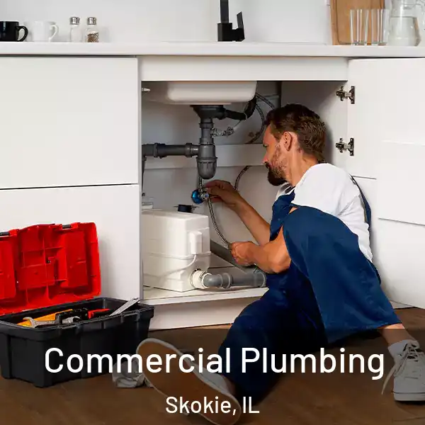  Commercial Plumbing Skokie, IL