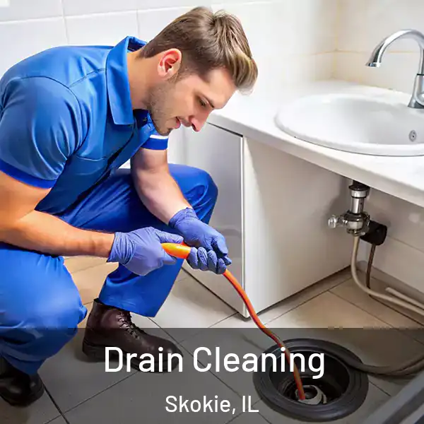  Drain Cleaning Skokie, IL