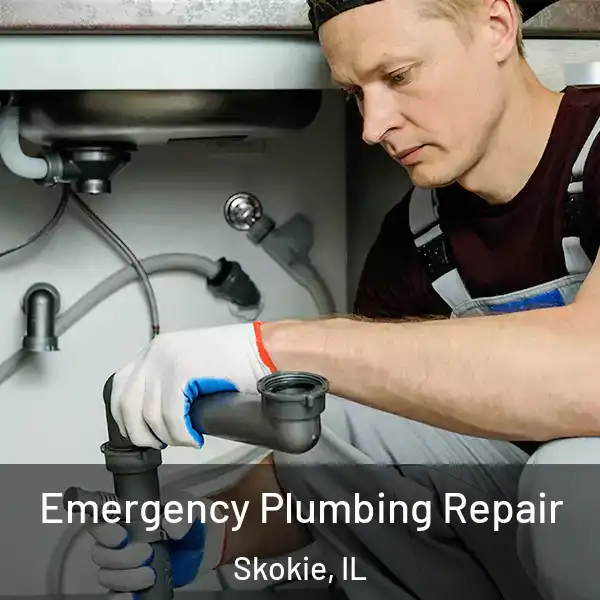  Emergency Plumbing Repair Skokie, IL
