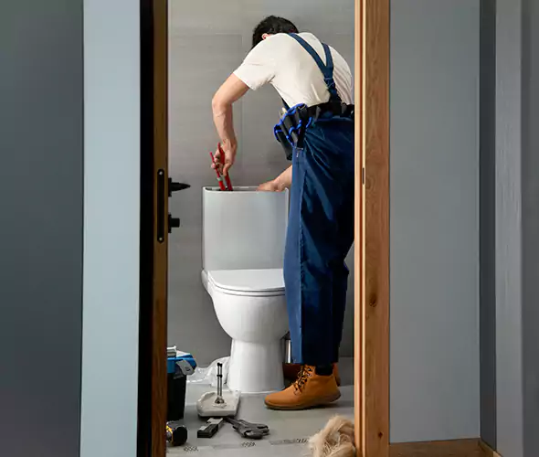 Professional Plumbers for Toilet Bowl Replacement in Skokie, IL: Schedule Affordable Toilet Replacement Services With Us