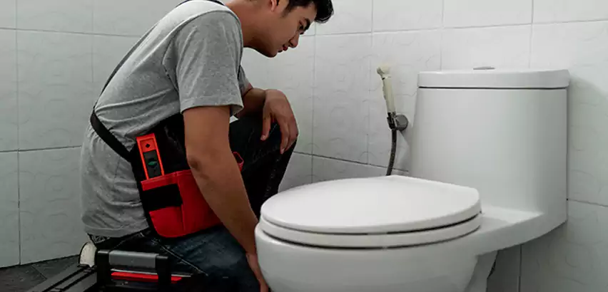 Toilet Repair in Skokie
