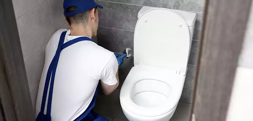 Toilet Lid Replacement in Skokie