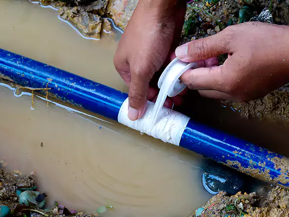 Why Choose Skokie Plumbing for Leak Detection in Skokie, IL?]