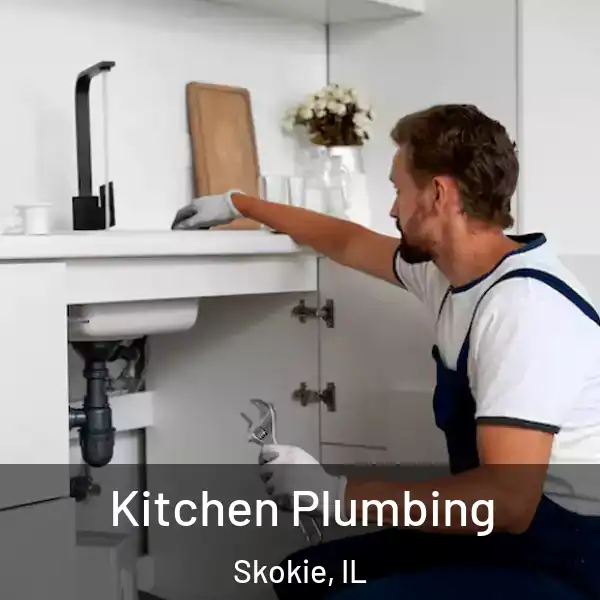  Kitchen Plumbing Skokie, IL