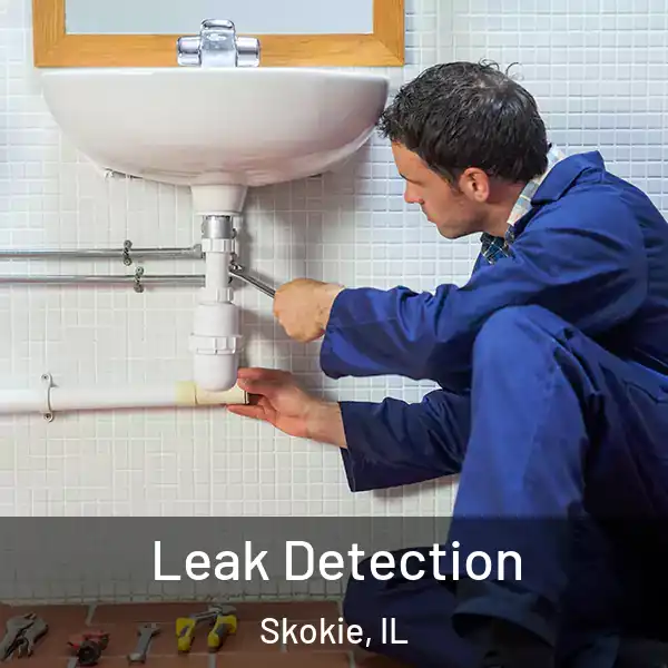  Leak Detection Skokie, IL