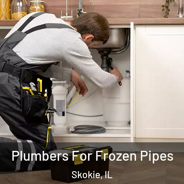  Plumbers For Frozen Pipes Skokie, IL