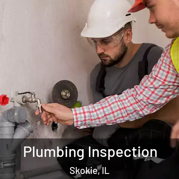  Plumbing Inspection Skokie, IL