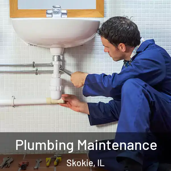  Plumbing Maintenance Skokie, IL