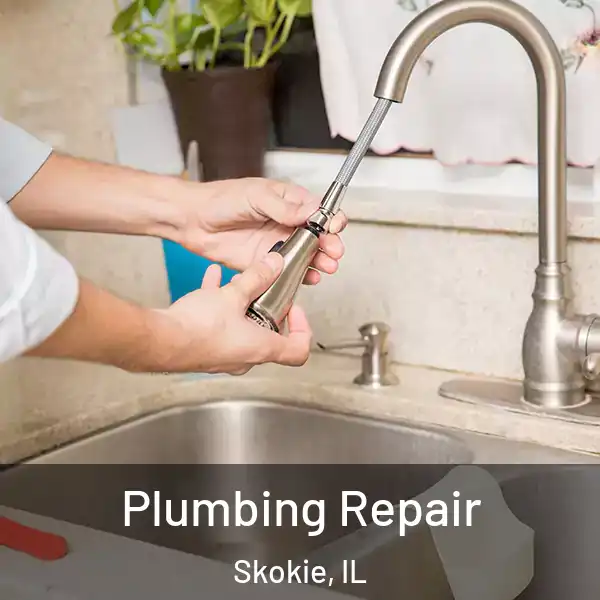  Plumbing Repair Skokie, IL