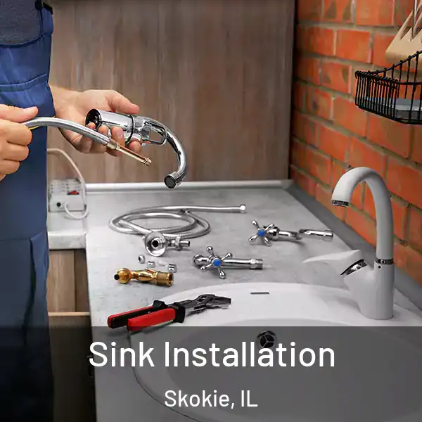  Sink Installation Skokie, IL