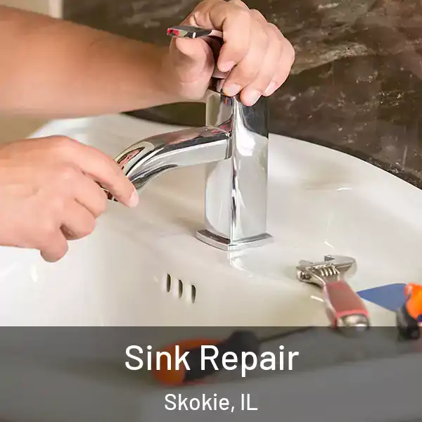  Sink Repair Skokie, IL