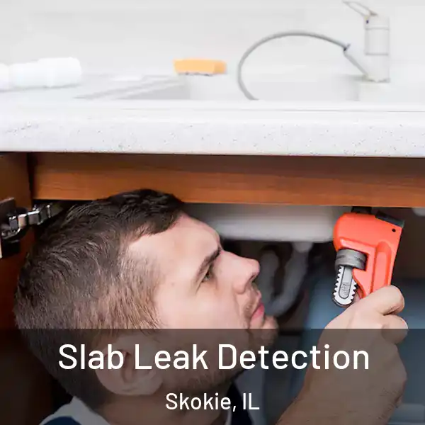  Slab Leak Detection Skokie, IL