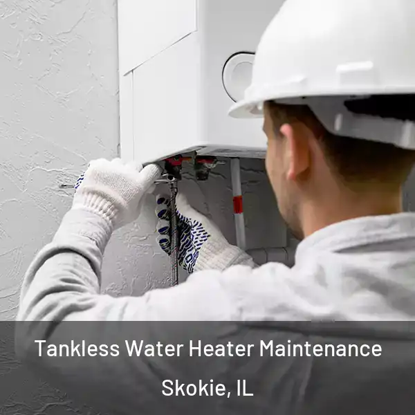  Tankless Water Heater Maintenance Skokie, IL