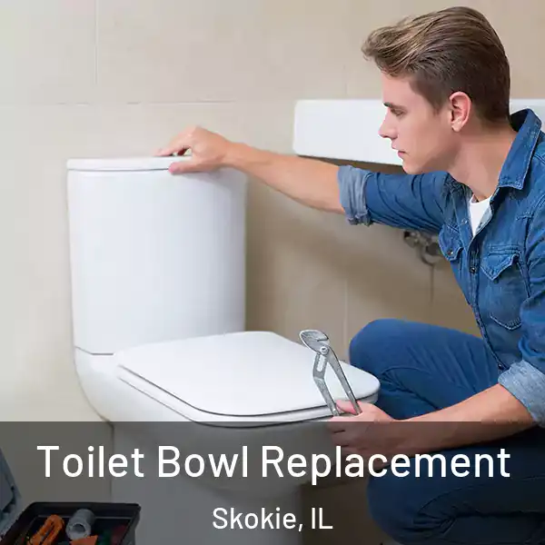  Toilet Bowl Replacement Skokie, IL