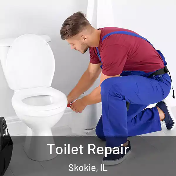 Toilet Repair Skokie, IL