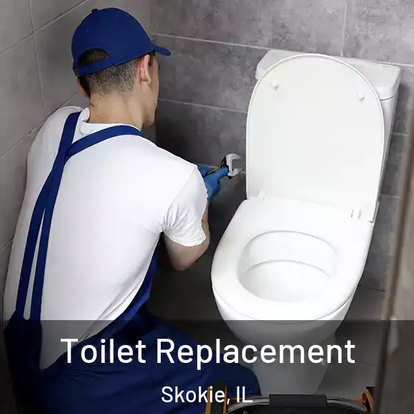  Toilet Replacement Skokie, IL