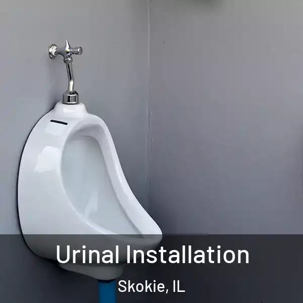 Urinal Installation Skokie, IL