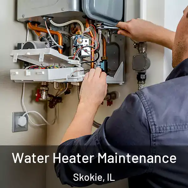  Water Heater Maintenance Skokie, IL